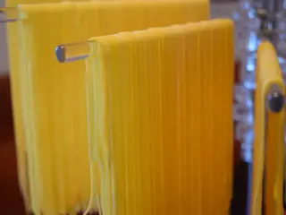 Homemade Noodles with Egg
